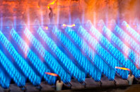 Wannock gas fired boilers